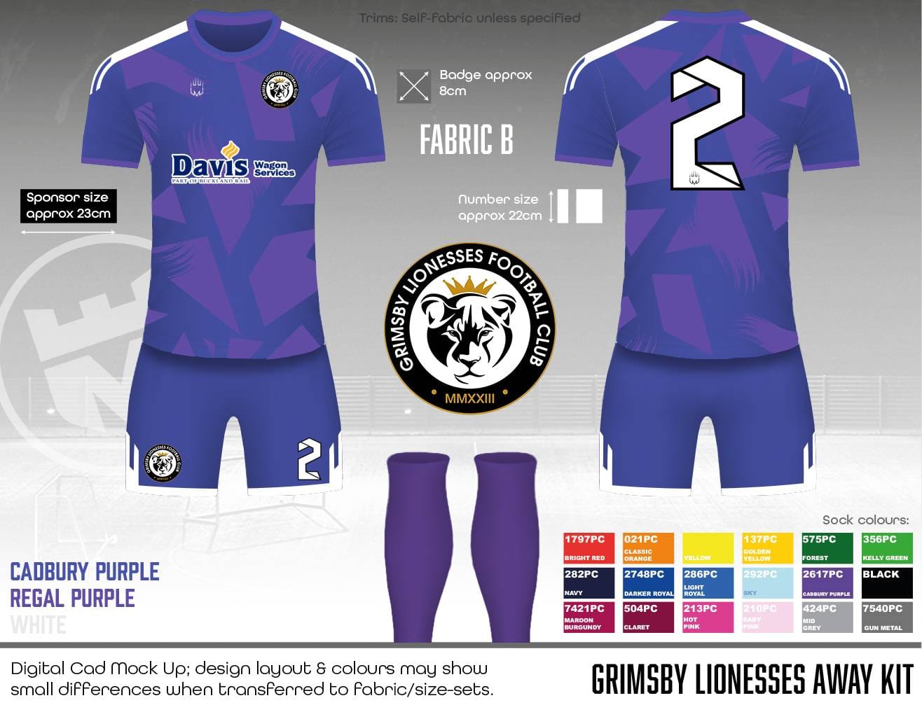 Grimsby Lionesses Outfield kit - Fabric B